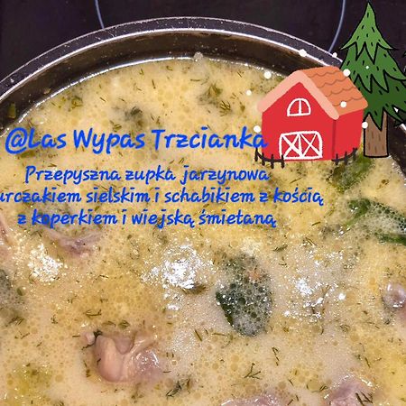 Noclegi "Las Wypas" Trzcianka Exterior foto